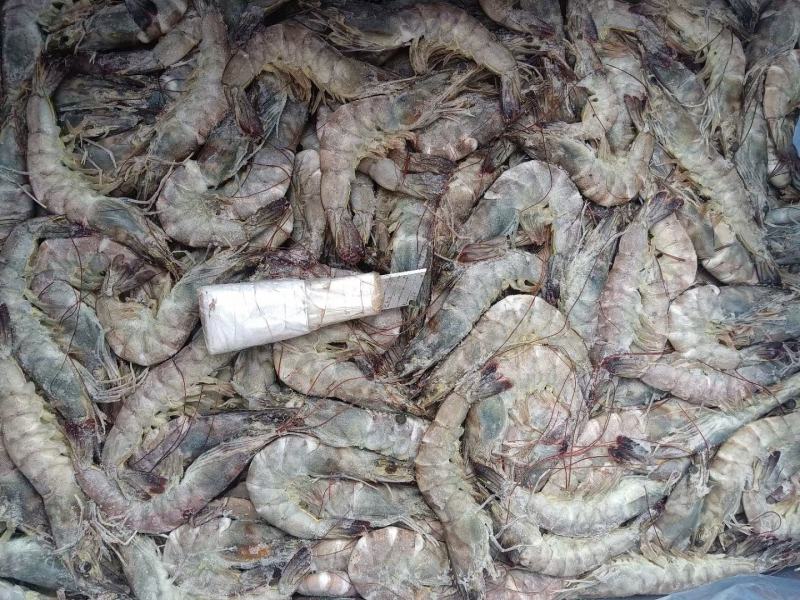奥迪A6大虾24斤4050单条单冻高品质大虾性价比高