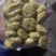章鱼饼优质原料制作承接OEM代工定制