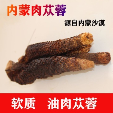 肉苁蓉阿拉善野生肉苁蓉500克软大云泡茶泡酒料