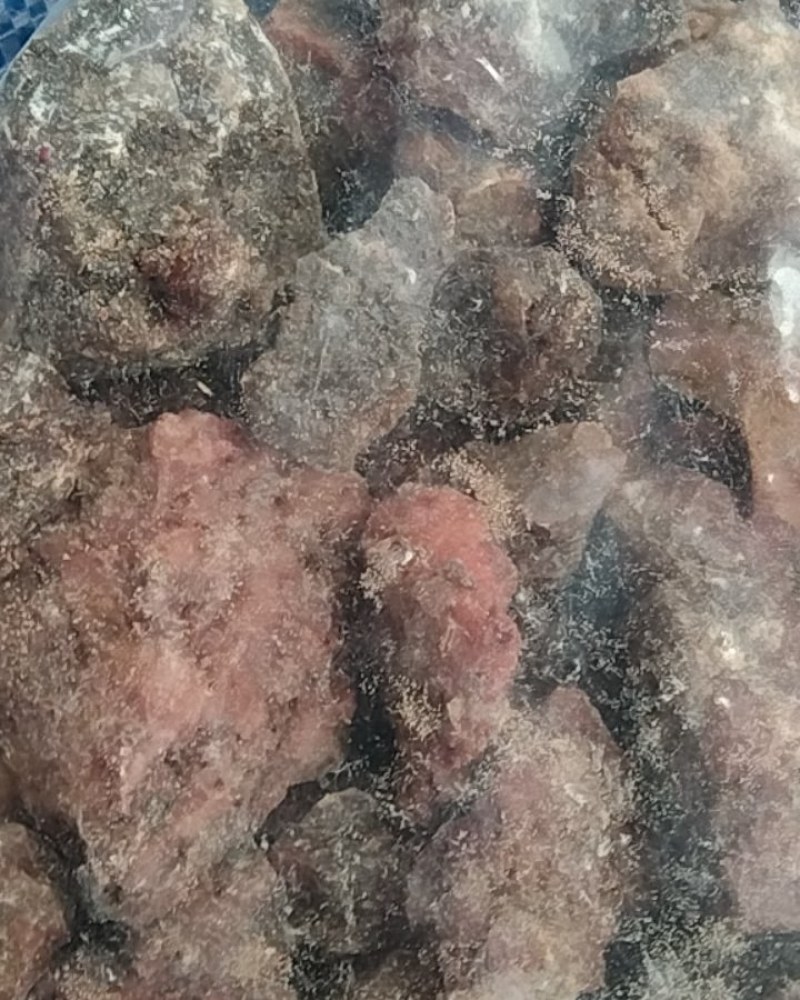阿魏包邮，常年批发供应冷背中药材臭阿魏，量大从优