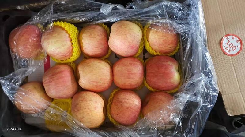 【红富士苹果】山东苹果，，价格便宜苹果价格