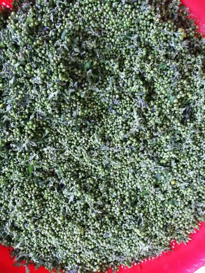野菊花烘干野菊花大别山野生中药材批发零售