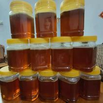 广西农村原生态土蜂蜜