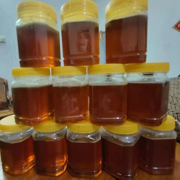 广西农村原生态土蜂蜜