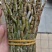 铁皮石斛，鲜货，扎把，新鲜干净，专业批发