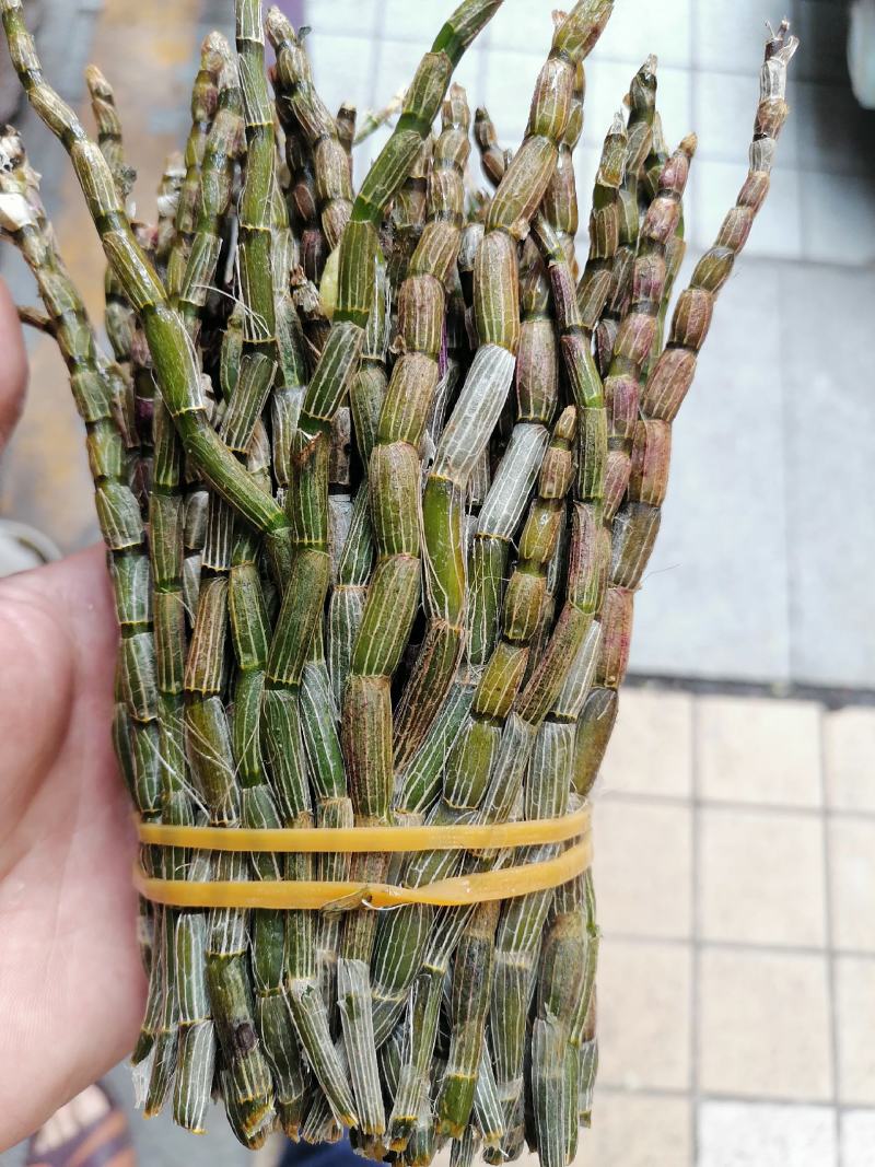 铁皮石斛，鲜货，扎把，新鲜干净，专业批发