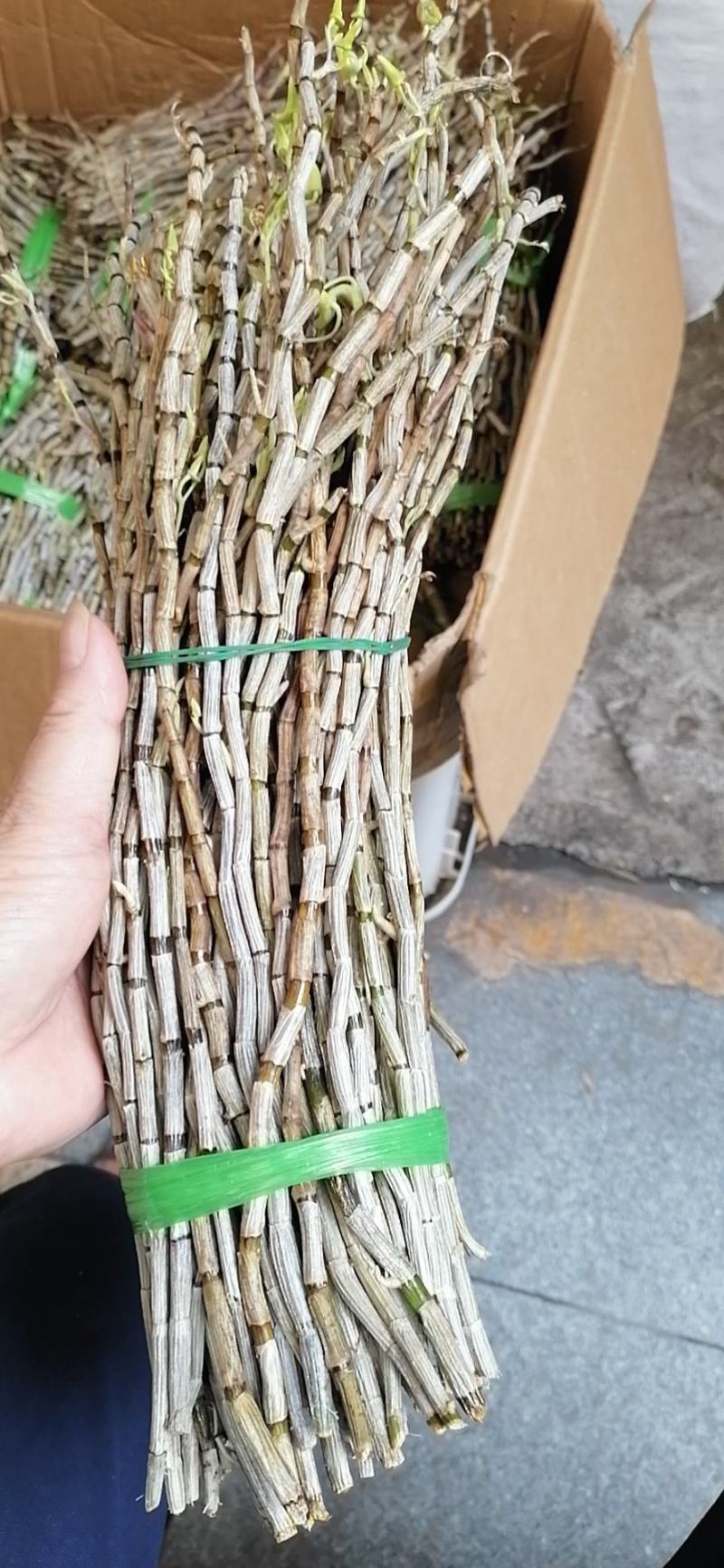 铁皮石斛，鲜货，扎把，新鲜干净，专业批发