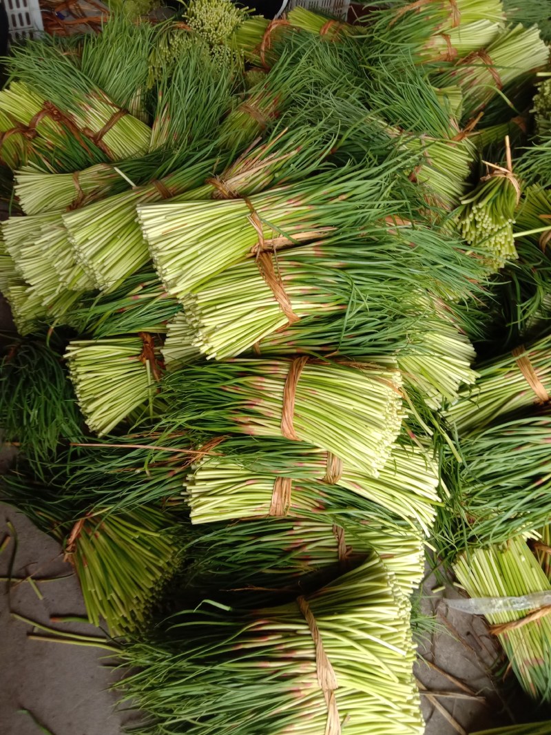 邳州蒜薹加工小把代存代收代存带销售