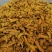 云南中药材姜黄片500g包邮