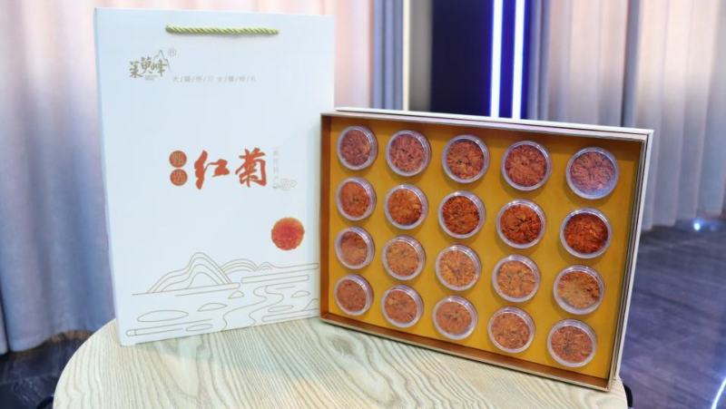 怀红菊河南焦作