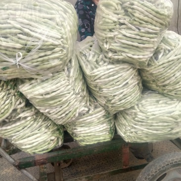 七粒白芸豆大量上市了