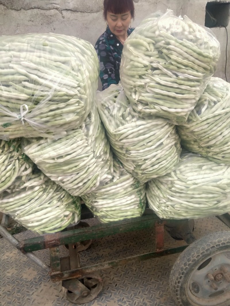 七粒白芸豆大量上市了
