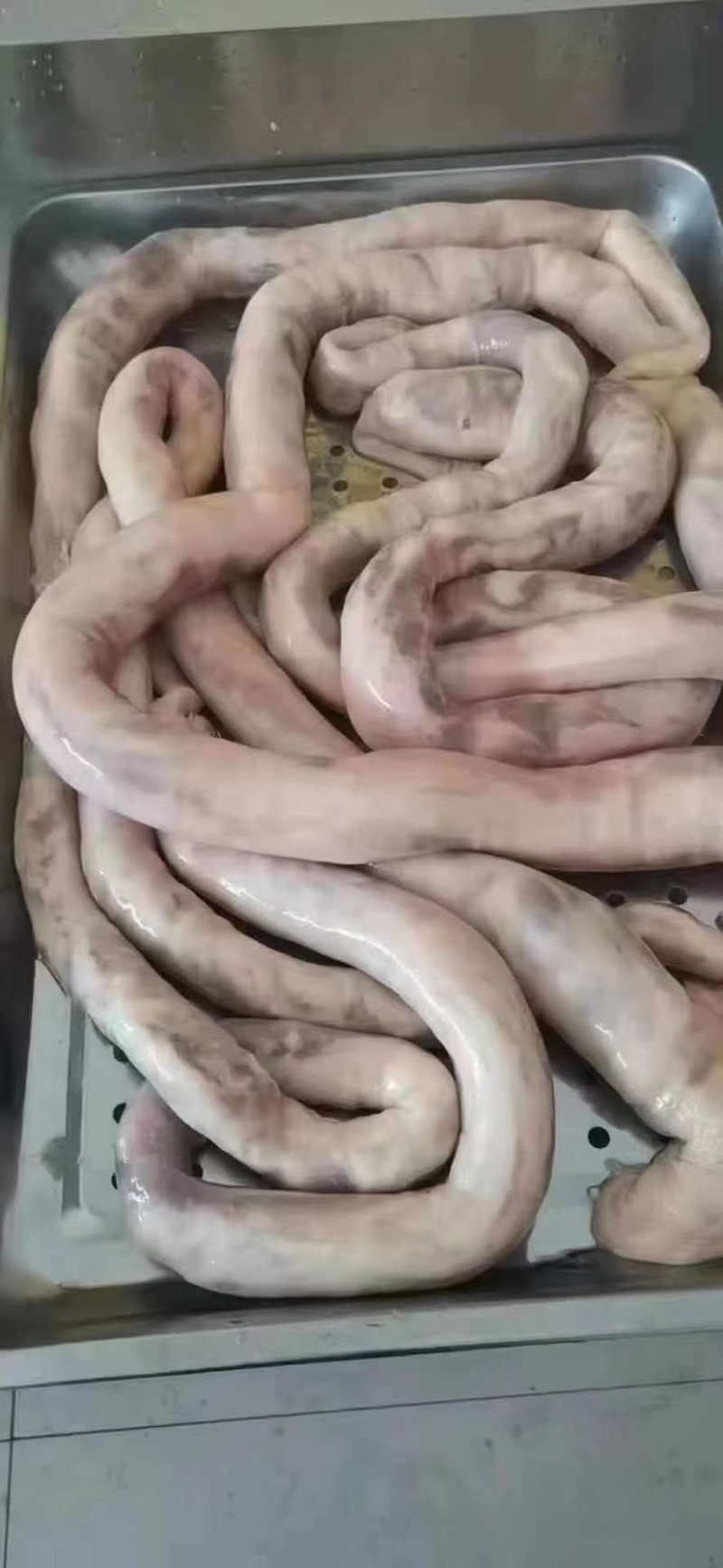 🔥羊肠包肉羊肉肠🔥厂家直销一手货源纯瘦肉