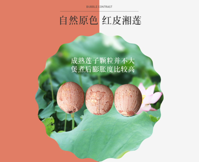 【一件代发】【一手货源】有芯红莲新货红莲子带芯莲子包邮