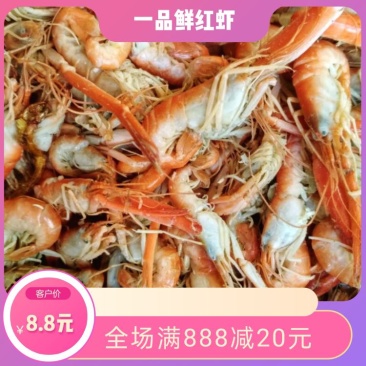 红虾干红虾干带点水分小红虾海虾熟制品好吃不贵