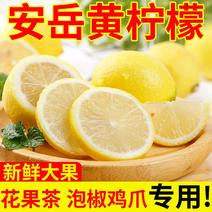 【一件代发】四川安岳柠檬当季水果果园现摘现发整箱包邮
