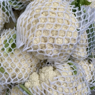 【菜花】精品花菜有机花菜大量上市保质保量欢迎致电
