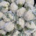 【菜花】精品花菜有机花菜大量上市保质保量欢迎致电