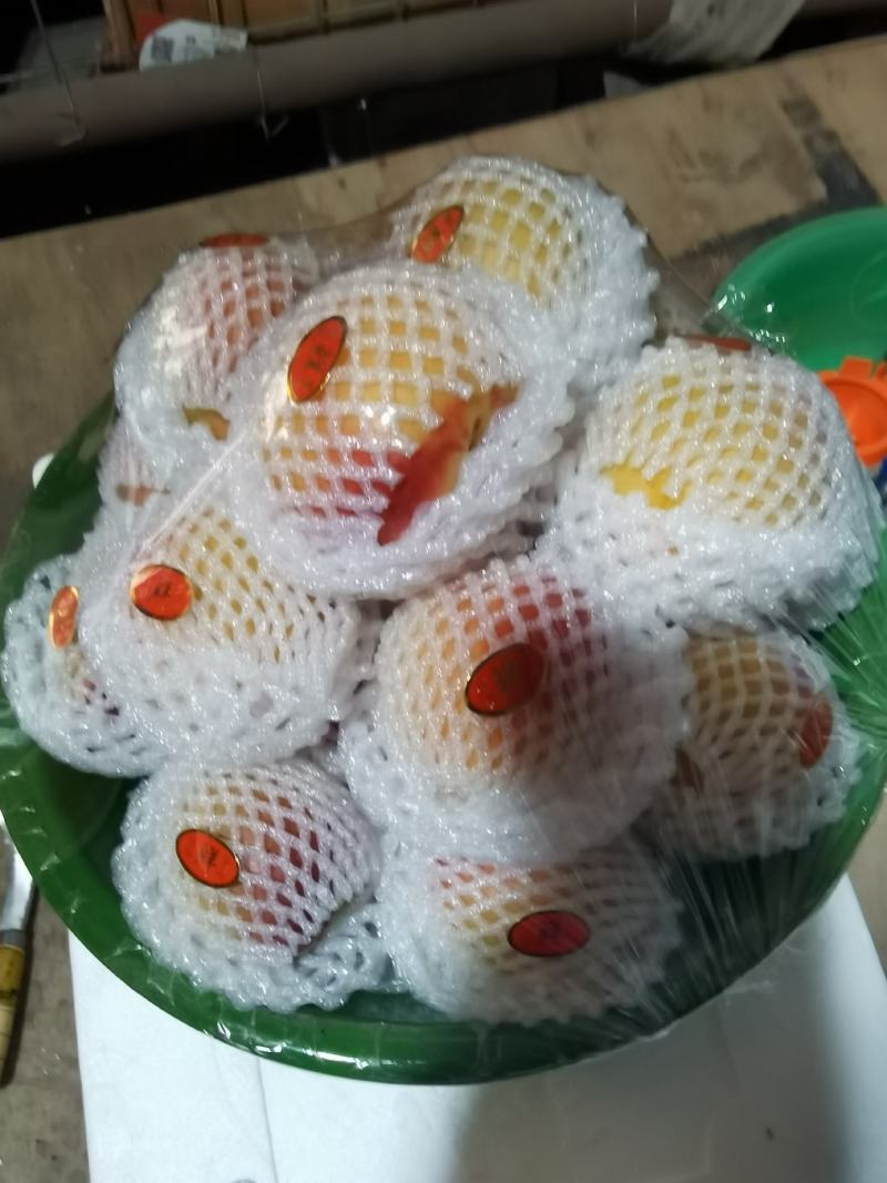 中原红杏，口感好，颜色漂亮，货源充足！！！