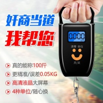 迷你手提电子秤便携式高精度家用快递称吊钩称小型手拿包邮