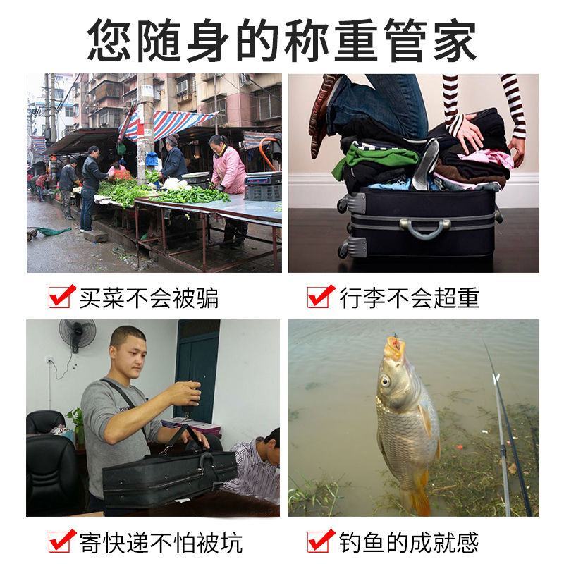 迷你手提电子秤便携式高精度家用快递称吊钩称小型手拿包邮