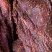 全熟麻辣大块肉五香大块肉无注水无加粉大块肉