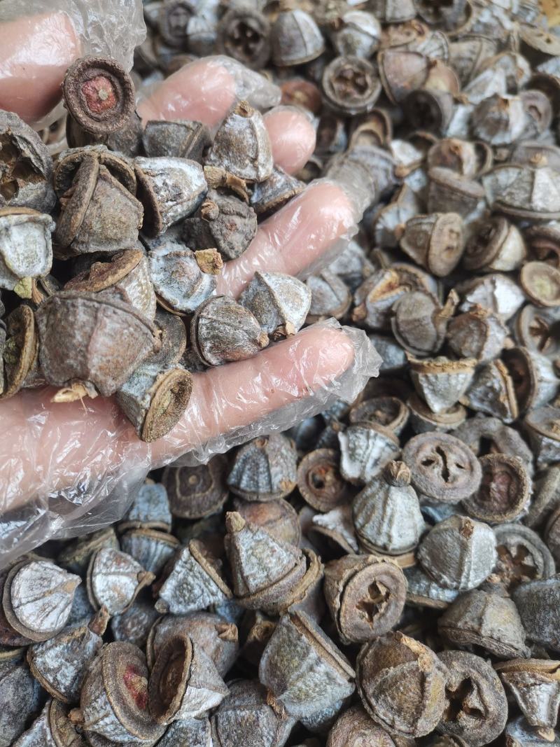 云南中药材一口钟精选百年老树一口盅500g