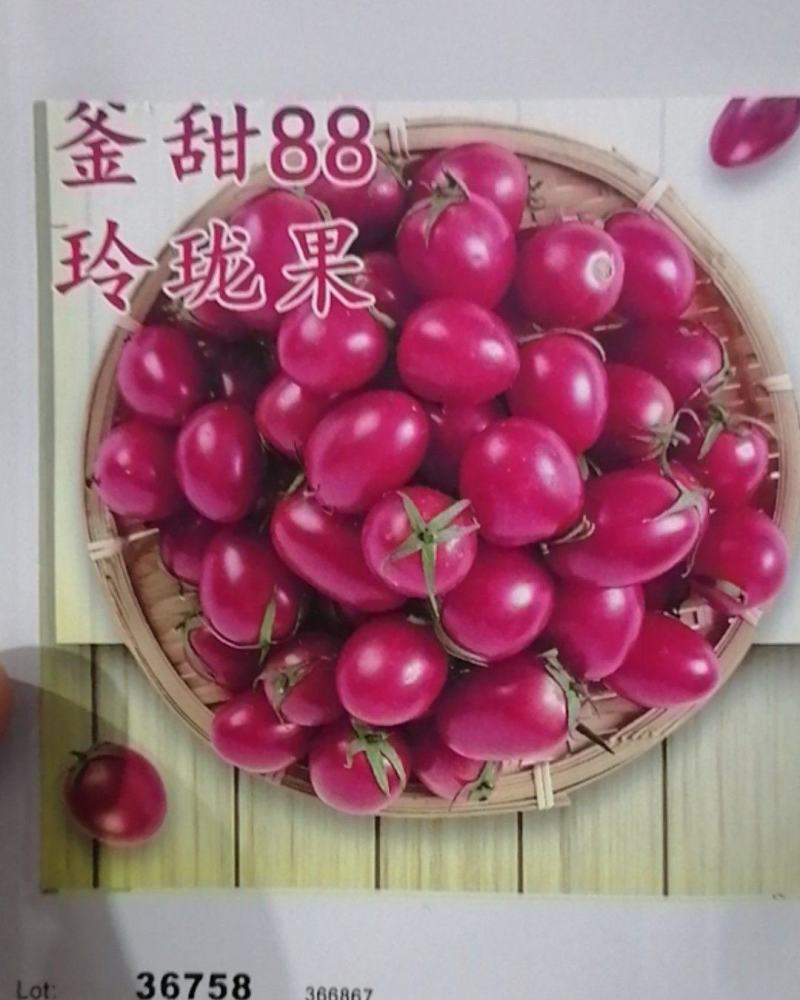 圣女果种子釜甜88樱桃番茄种籽玲珑果甜度高口感好釜
