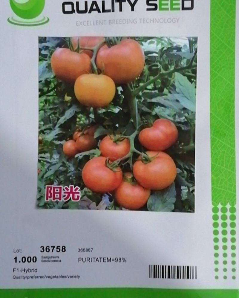 大黄番茄种子特色西红柿种子黄色番茄种籽口感好产量