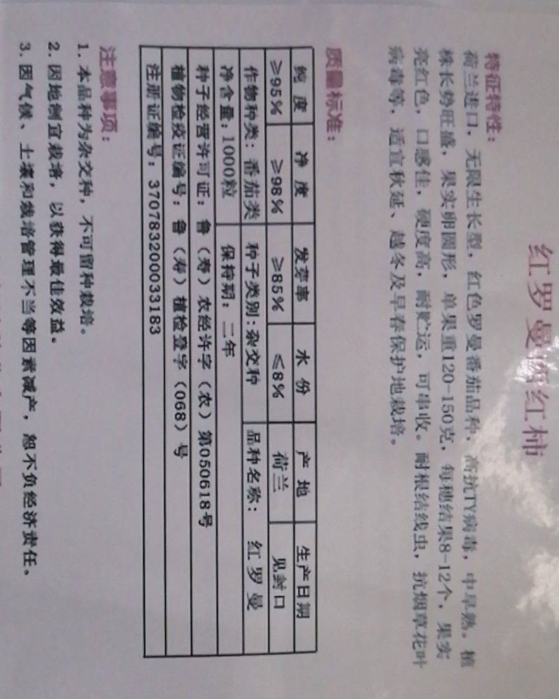 红罗曼番茄种子串收番茄种籽黄罗曼高产抗病