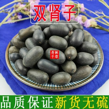 云南野生中药材双肾子石莲子散装包邮