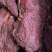 全熟麻辣大块肉五香大块肉无注水无加粉大块肉