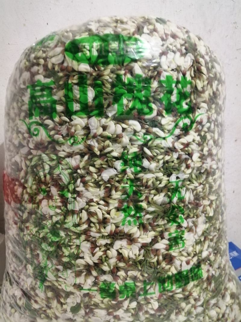 洋槐花野生产地直供加冰保鲜冷链运输每天供货三万斤