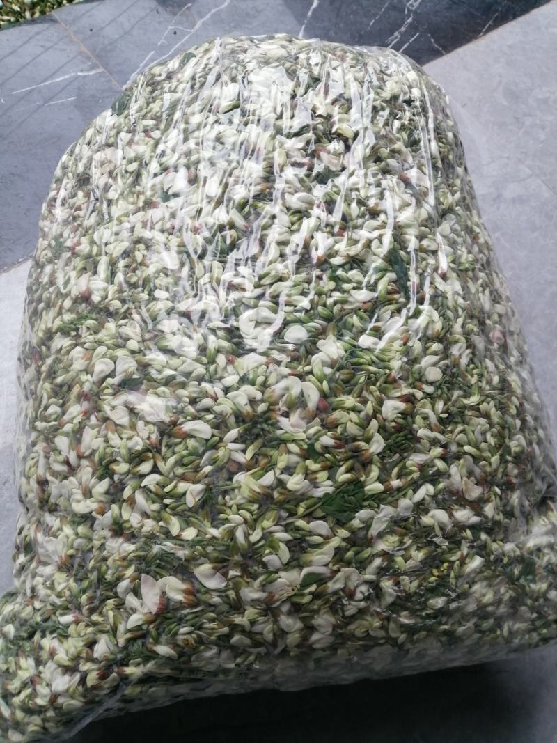 洋槐花野生产地直供加冰保鲜冷链运输每天供货三万斤