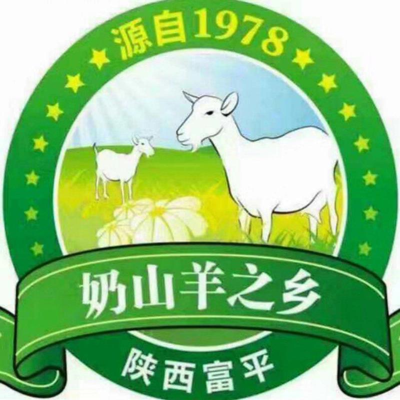 【精品】萨能奶山羊陕西奶山羊厂家直发成活保障提供技术支持
