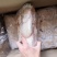猪小肚，厂家直销质量保证