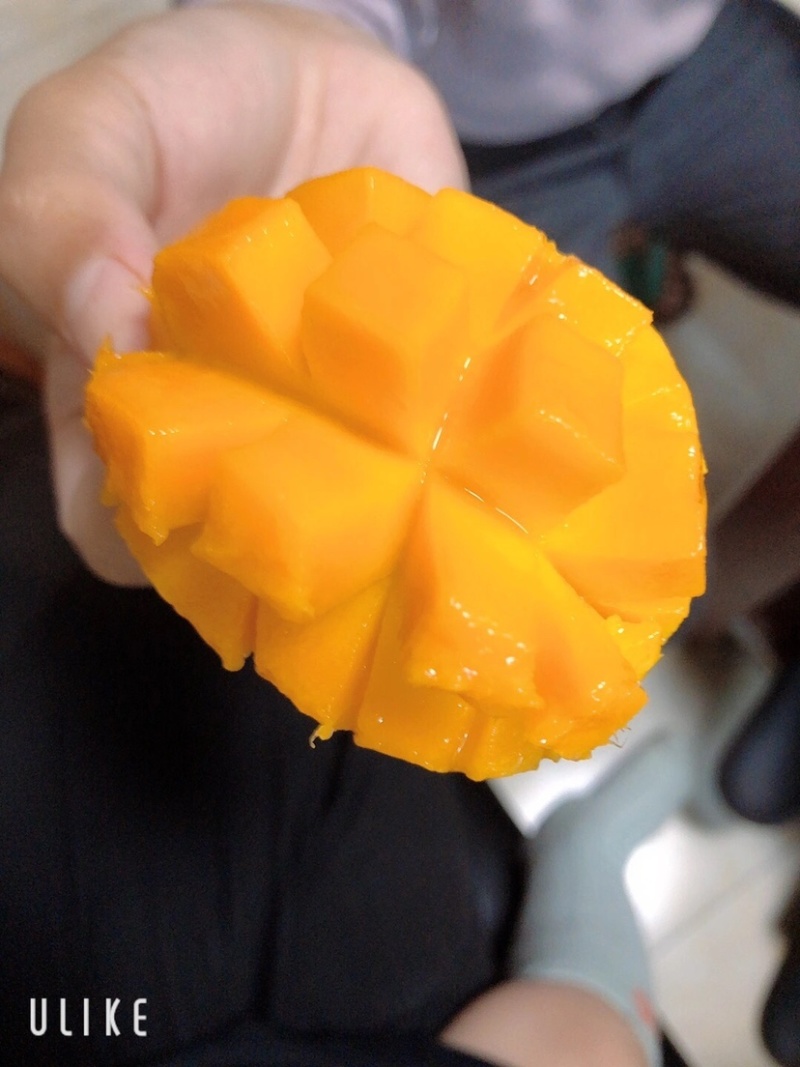 小台农芒