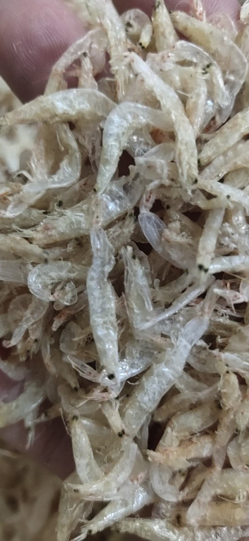 虾皮