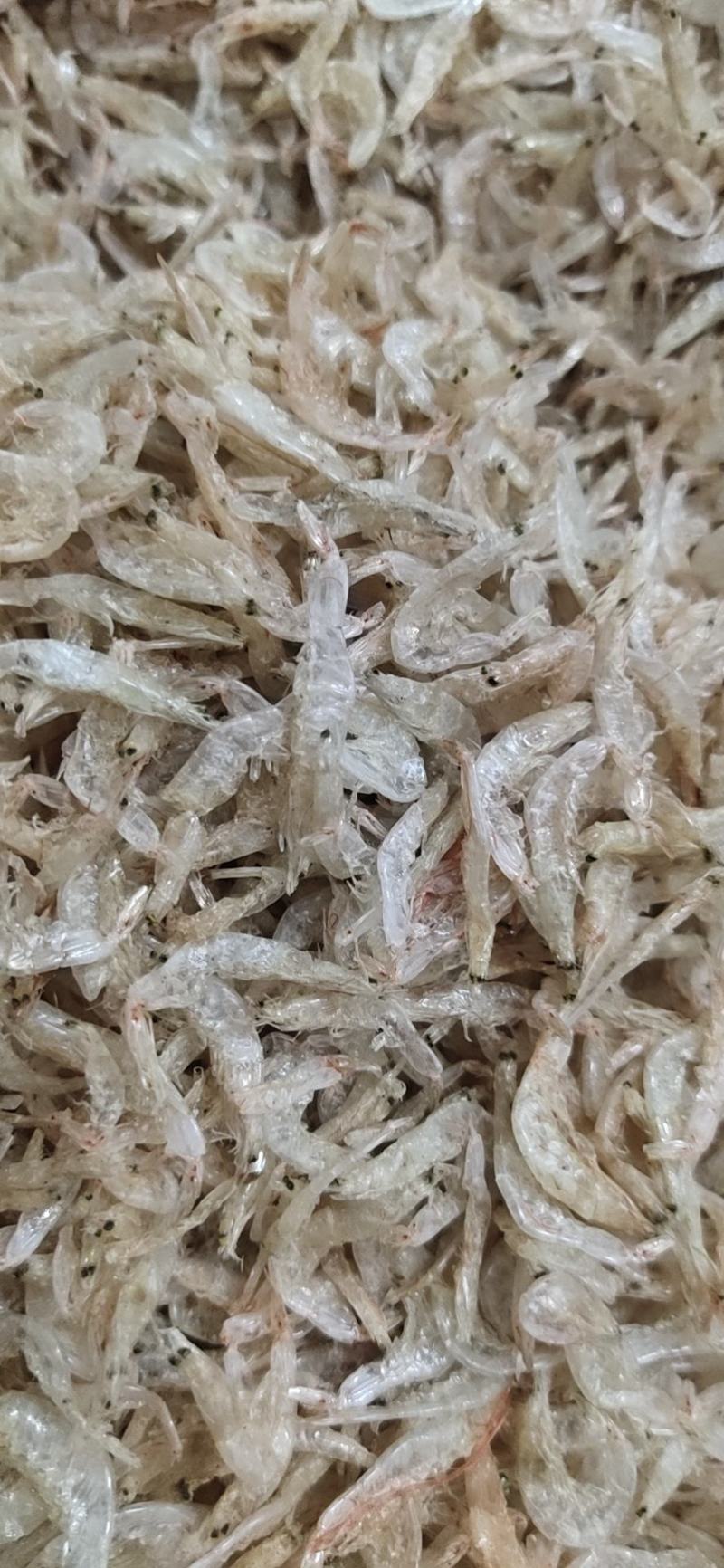 虾皮