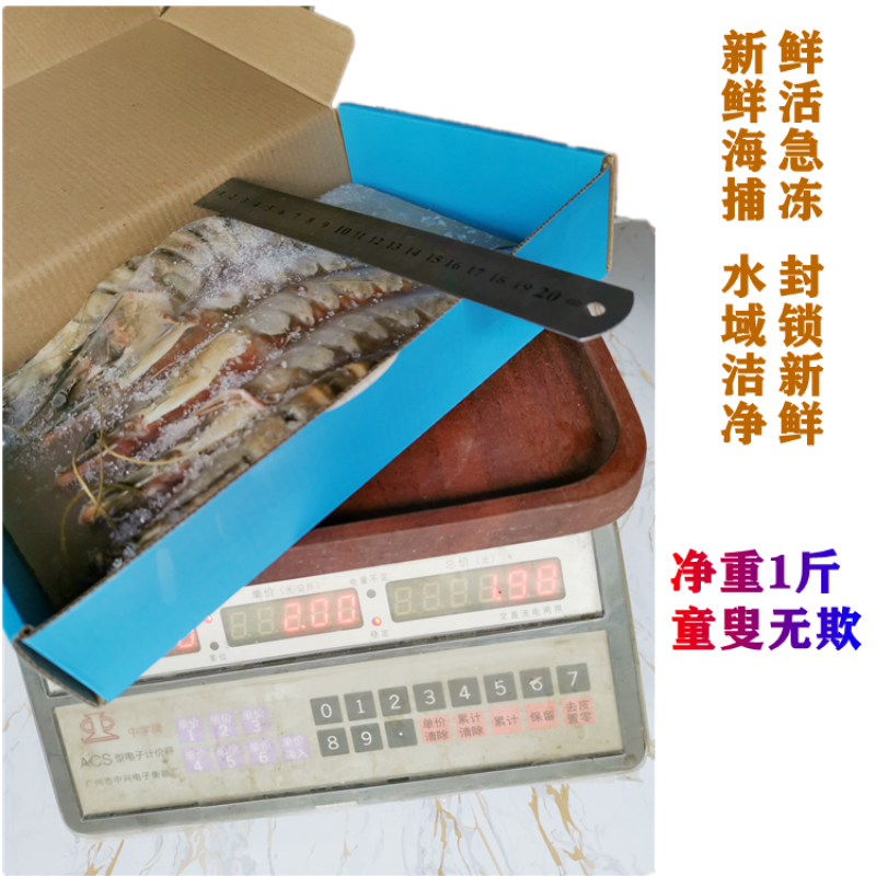 每盒净重1斤5条大鬼虾老虎虾斑节虾草虾新鲜急冻海捕大虾鲜