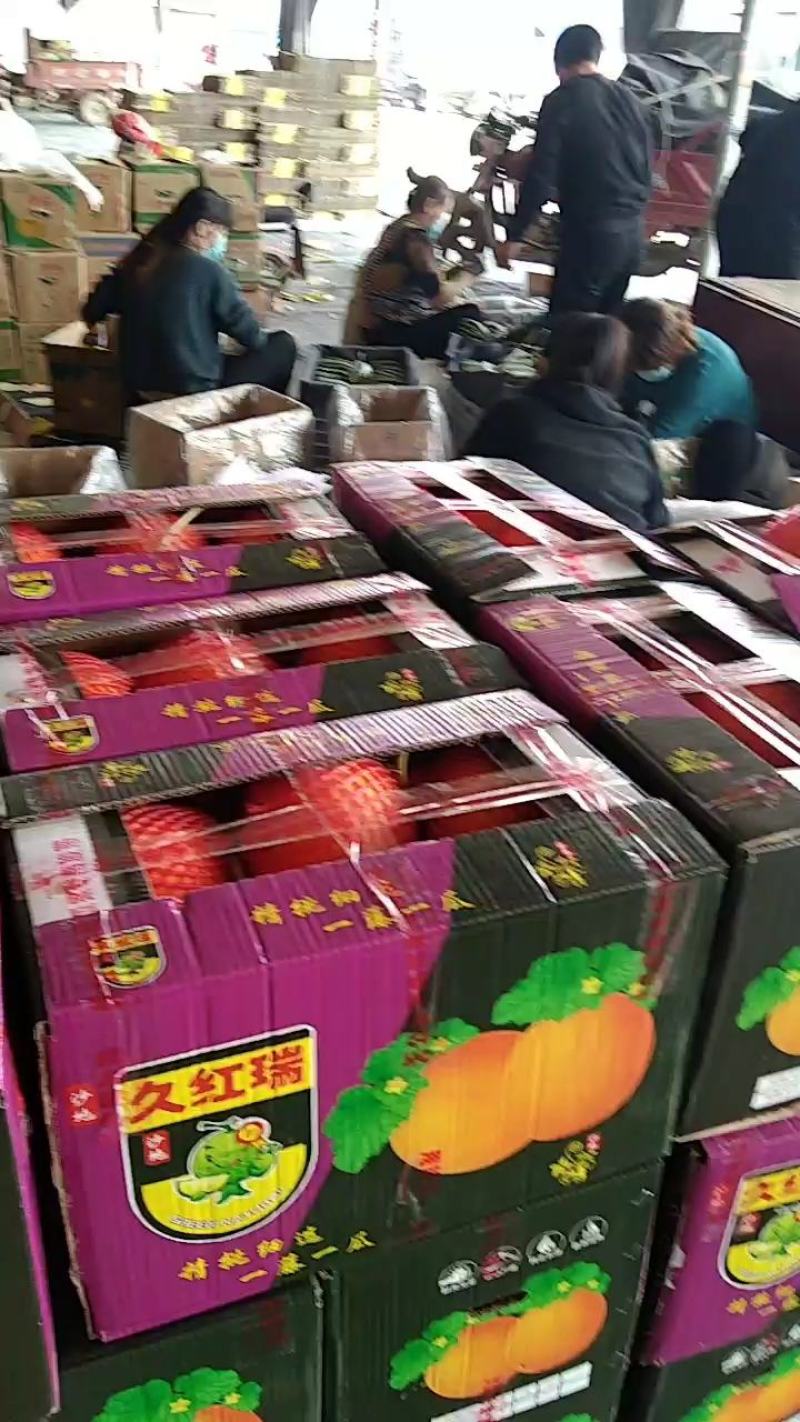莘县基地久红瑞甜瓜个儿大，色好耐运输，主要是口感很好