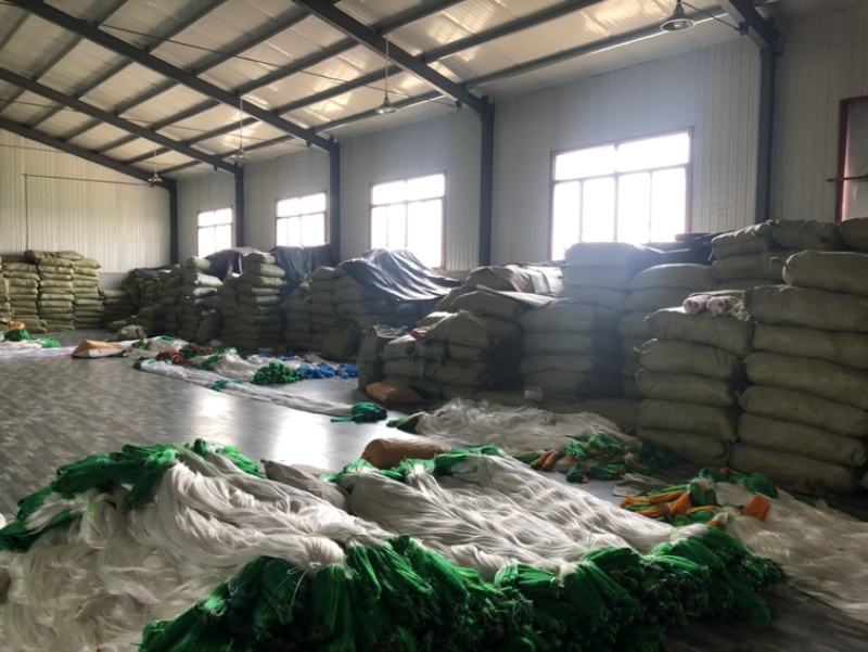 蔬菜专用防倒秧网，防倒伏网，厂家直销大量现货供应