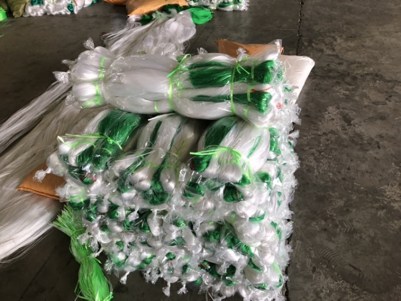 厂家直供：果树专用爬藤网，沃柑砂糖橘爬藤网，厂家直销