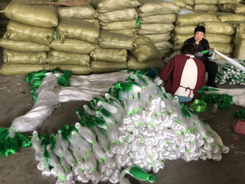 厂家直供：果树专用爬藤网，沃柑砂糖橘爬藤网，厂家直销