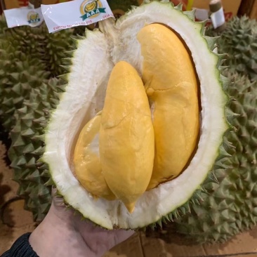 泰国金枕榴莲量大