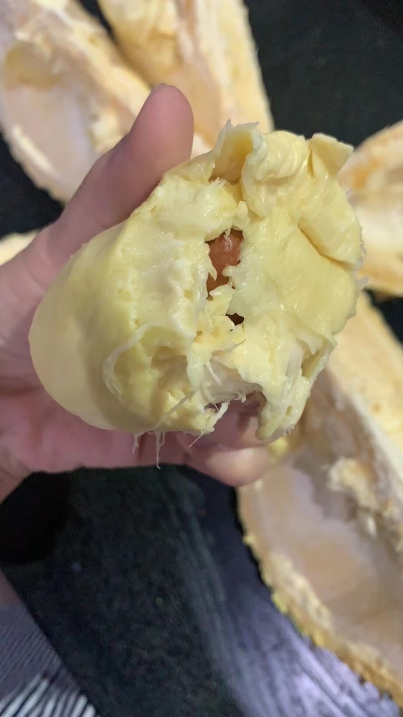泰国金枕榴莲量大