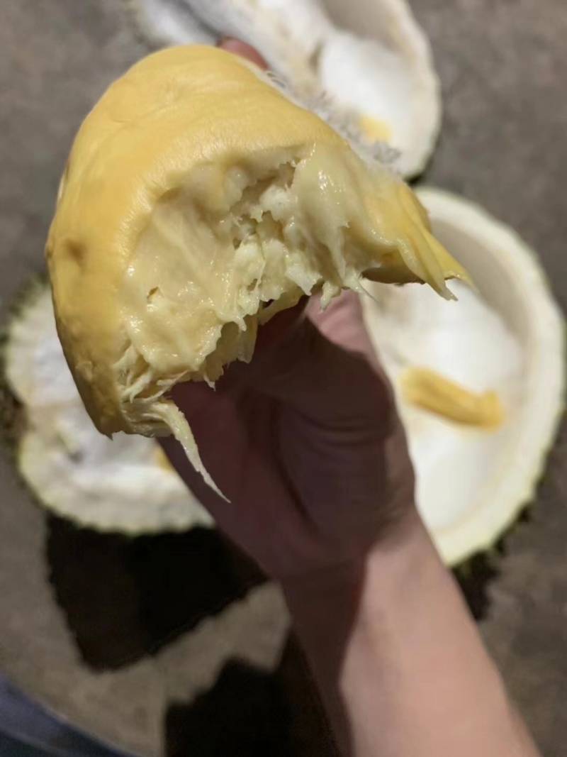 泰国金枕榴莲量大
