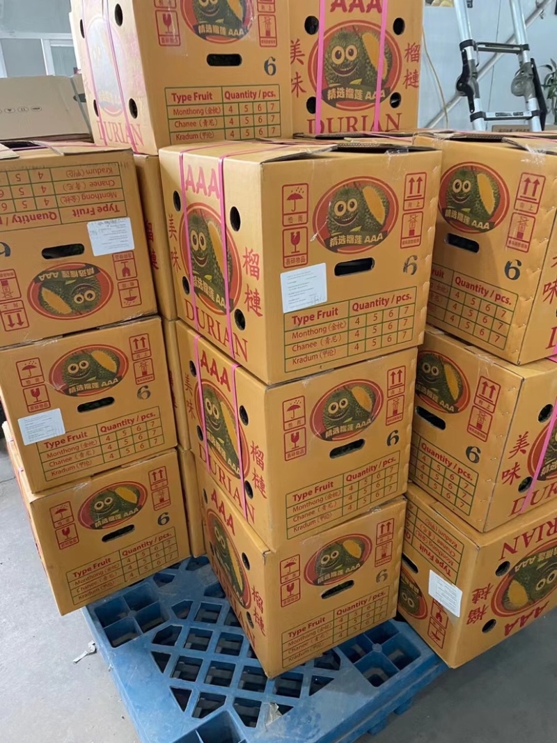 泰国金枕榴莲量大