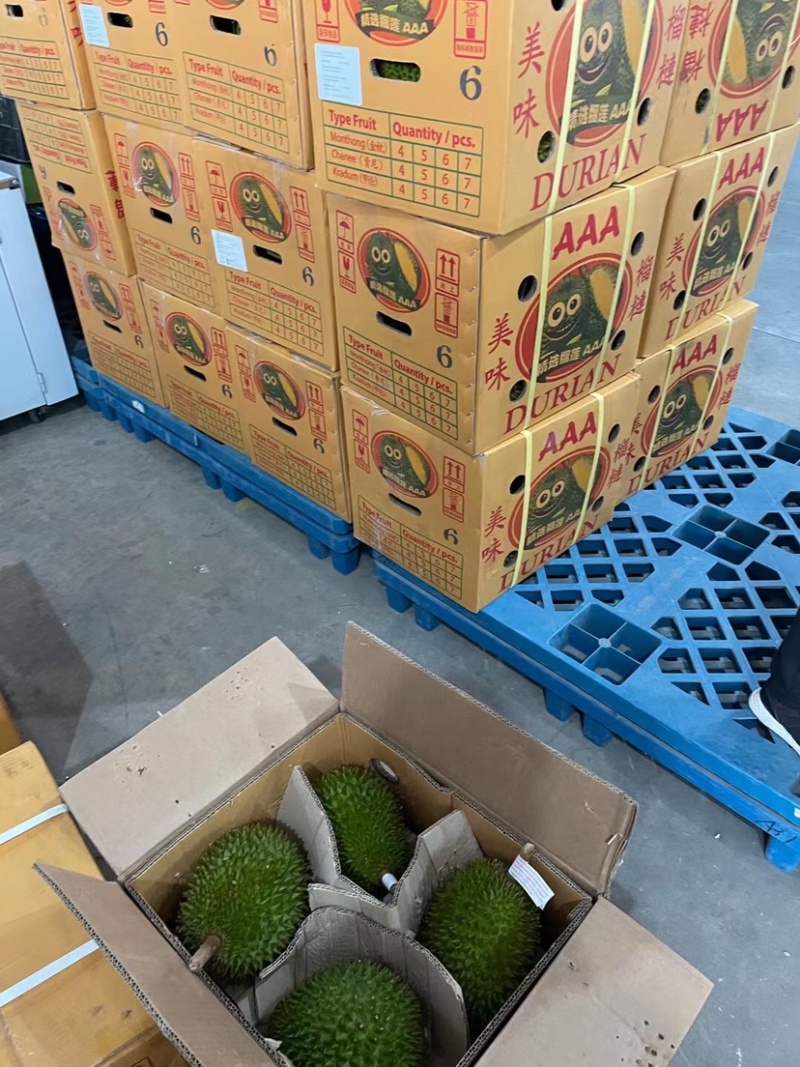 泰国金枕榴莲量大