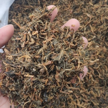 浙江东阳梅干菜，梅干菜，梅干菜，梅干菜